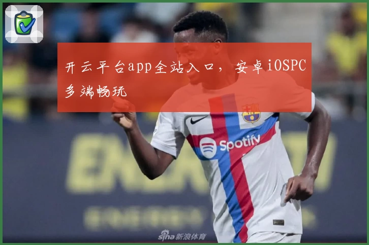 开云平台app全站入口，安卓iOSPC多端畅玩