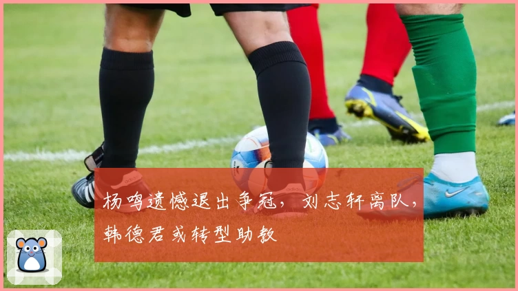 杨鸣遗憾退出争冠，刘志轩离队，韩德君或转型助教