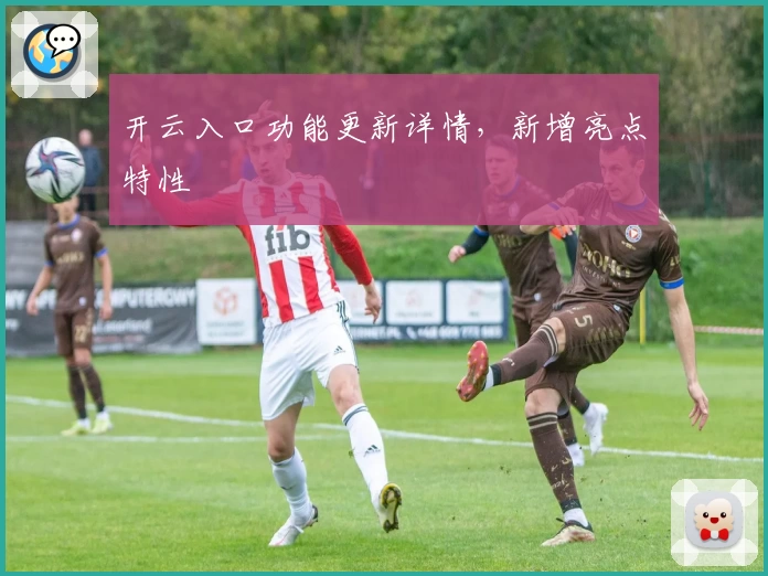 开云入口功能更新详情，新增亮点特性